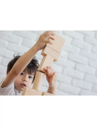 PlanToys Přírodní stavebnice (50 ks)