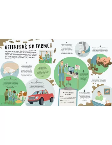 Práce mých snů: Baví mě zvířata