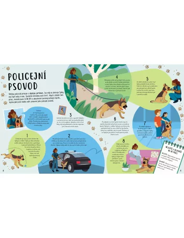 Práce mých snů: Baví mě zvířata