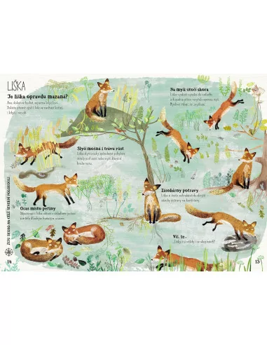 Velká kniha divoké havěti