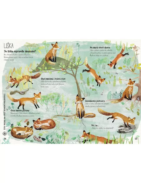 Velká kniha divoké havěti