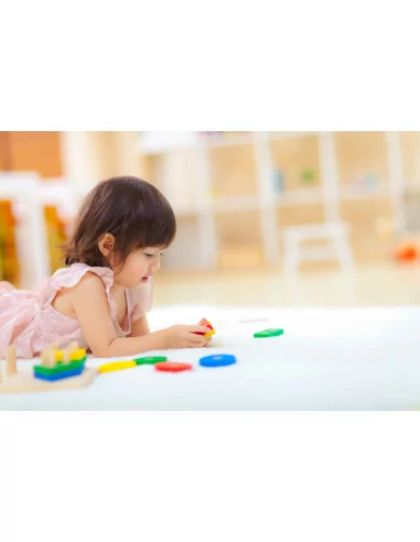 Geometric Sorting Board