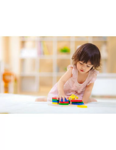 Geometric Sorting Board