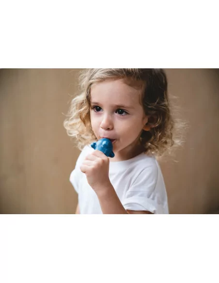 PlanToys Píšťalka - delfín