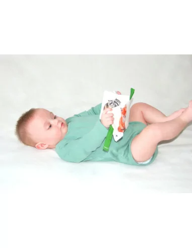 MyMoo - Didaktická knížka - Procházka lesem