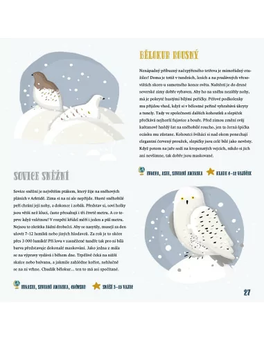 Zima ve světě zvířat