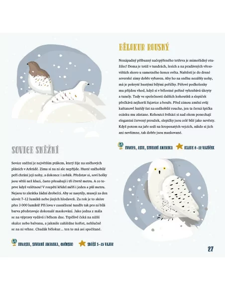 Zima ve světě zvířat