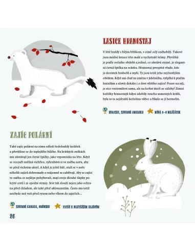 Zima ve světě zvířat