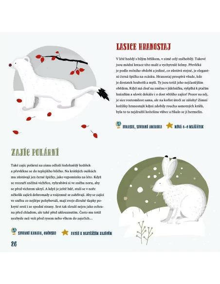 Zima ve světě zvířat