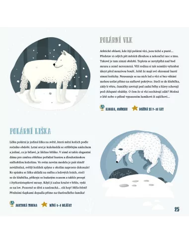 Zima ve světě zvířat