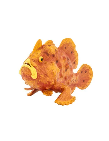 Frogfish