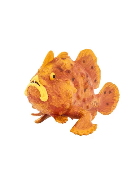 Frogfish