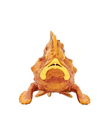 Frogfish