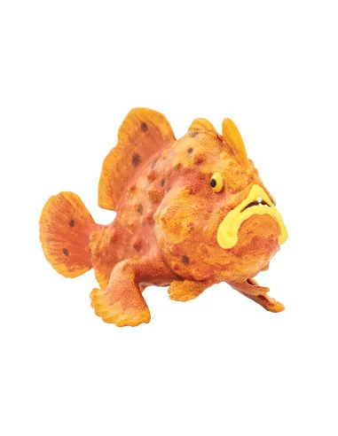 Frogfish