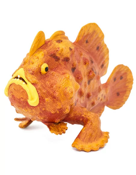 Frogfish