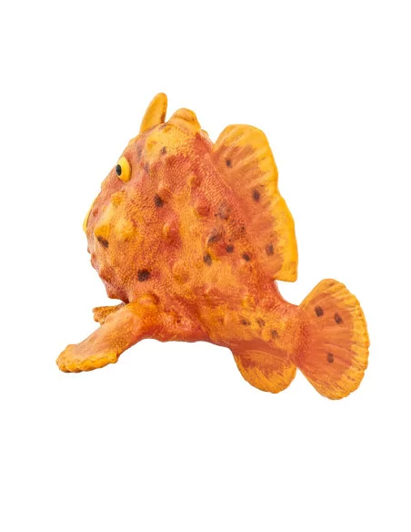 Frogfish