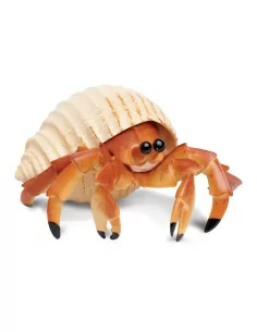 Hermit Crab