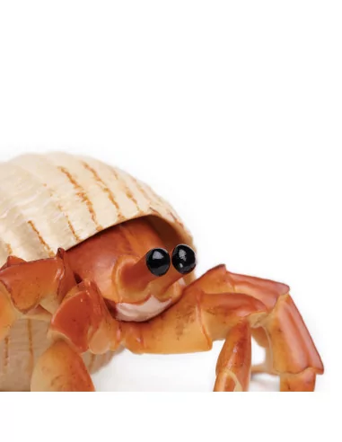 Safari Ltd. Krab poustevník