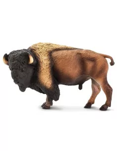 Bison