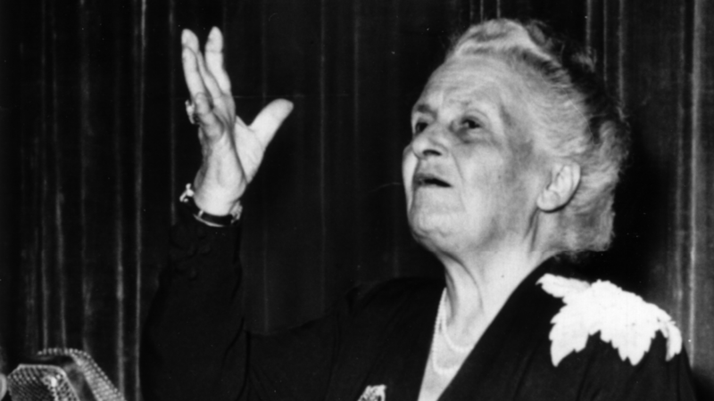 Jak spr&aacute;vně vyb&iacute;rat Montessori pomůcky